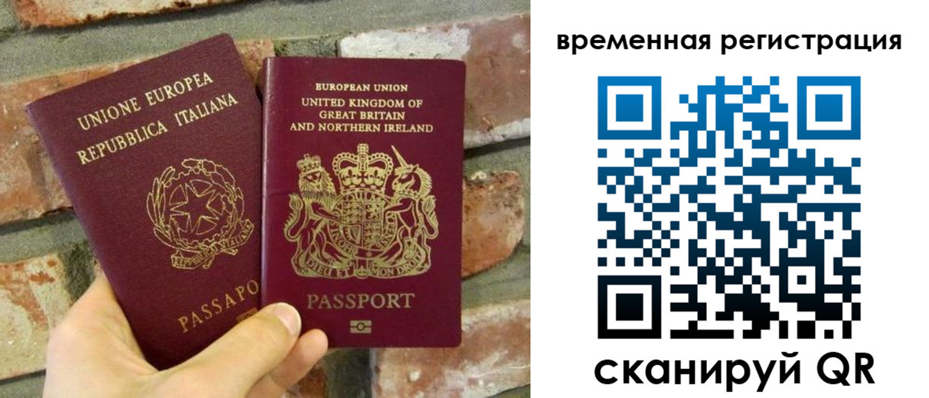 прописка для школы в Венёве